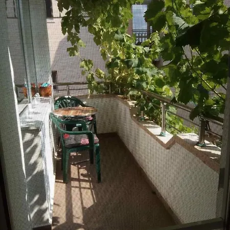 Casa de hóspedes Viki
