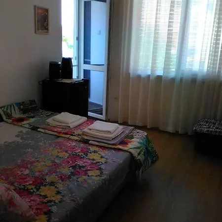 Guest house Viki