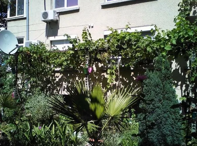 Гостьовий будинок Viki